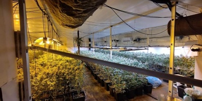 Nueve personas detenidas y tres laboratorios clandestinos de marihuana ubicados tras operativo antidrogas