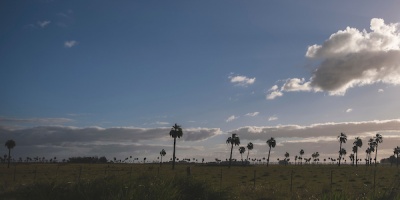 Uruguay trabaja en la creaci�n de la terminal de cohetes