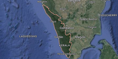 Cuatro j�venes muertos en una avalancha durante un concierto en India