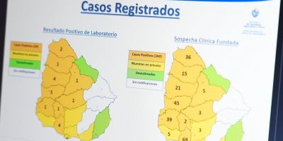 Hay 20 casos nuevos de encefalitis equina y se procesan 15 muestras m�s