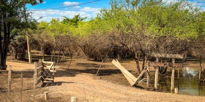 Permanecen 49 personas desplazadas en Bella Uni�n por las inundaciones