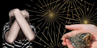 Organizaciones que trabajaron en la campa�a "Sent� lo que yo siento", vuelven a pedir a la poblaci�n mayor empat�a y solidaridad 