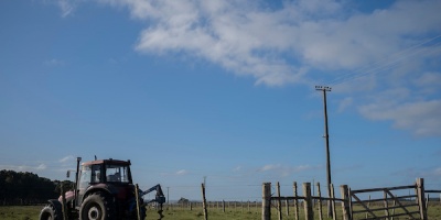 Hasta el 31 de marzo rige la emergencia  agropecuaria para el sector hortifrut�cola en todo el pa�s