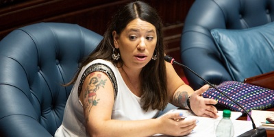 Diputada D�az: �El crimen organizado avanza y la sociedad queda de reh�n�