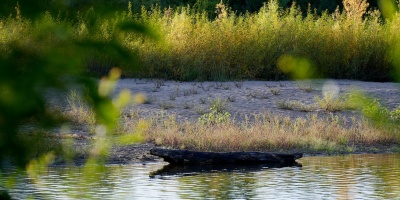 El Inumet dio por finalizada la sequ�a meteorol�gica m�s desafiante de los �ltimos 100 a�os en Uruguay