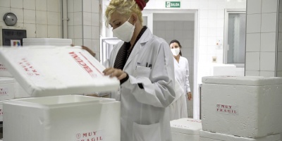 Comprar�n unas 100 mil vacunas para hacer frente a  la Encefalomielitis equina tras la aparici�n del primer caso en humanos