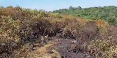 Contin�an las tareas de enfriamiento en algunos sectores con temperatura en Pan de Az�car