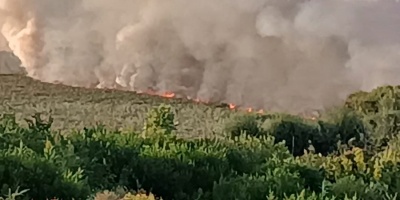 Arden casi 70 hect�reas de campo