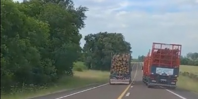 Un cami�n que transportaba madera en el kil�metro 348 de la Ruta 5 despist� tras perder el dominio luego de rebasar a otro