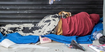 Cosse: "el gobierno est� ausente ante el crecimiento exponencial de las personas en situaci�n de calle"