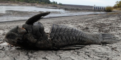 Trabajadores aseguran que medidas de las C�maras Pesqueras "es una clara extorsi�n al Estado"