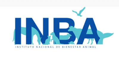 INBA inform� sobre hecho ocurrido en Villa Mu�oz que involucr� a un perro