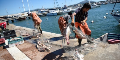 Se acord� un seguro de paro especial para los trabajadores de la pesca