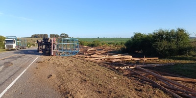 Un cami�n palero despist� y volc� en la Ruta 54