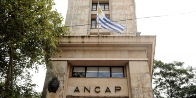 Verri: "es apresurado pensar en que Ancap forme parte del negocio del hidr�geno verde"