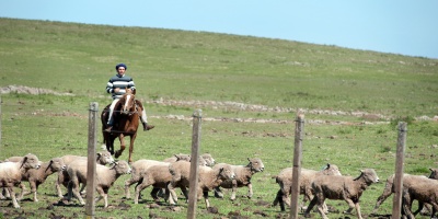 El 29 de abril vence el plazo para que peque�os productores rurales soliciten la exoneraci�n del Impuesto de Primaria