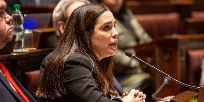 La diputada del Partido Colorado Mar�a Eugenia Rosell� propone que se aumente la asignaci�n familiar a las parejas con mellizos o que  hayan tenido parto m�ltiple