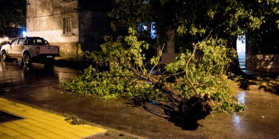 18.000 servicios ya fueron restaurados tras las fuertes tormentas