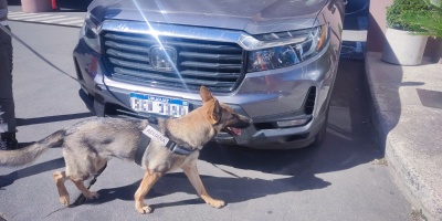 Un uruguayo intent� cruzar 20 monedas de oro sin declarar desde Buenos Aires a Colonia