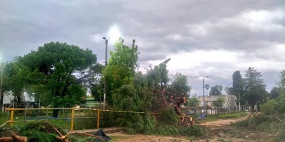Una turbonada afect� Florida con rachas de viento de hasta 113 kil�metros por hora.