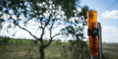 En San Jos� se registraron lluvias de m�s de 200 mil�metros en las �ltimas horas