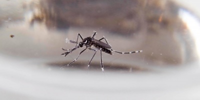 Rando sobre el aumento de casos de dengue: �hist�ricamente, hasta ahora, ha sido el peor momento� 