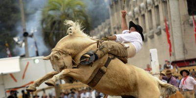 Obald�a: las jineteadas de Montevideo son las m�s seguras de todo el pa�s