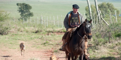 Ministerio de Salud confirm� 5 casos de encefalitis equina