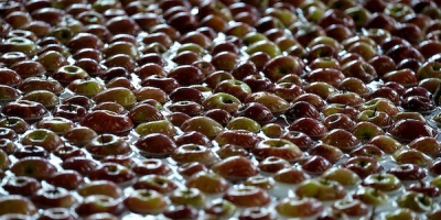 En Uruguay el 80% de las empresas son familiares 