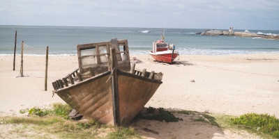 La DINARA prohibi� la extracci�n, comercializaci�n y transporte de mejillones, almejas y berberechos