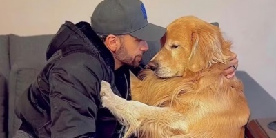 Brasil: Un perro de raza Golden Retriever muri� tras ser embarcado en otro vuelo por error de la aerol�nea 