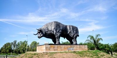 Un hombre de 39 a�os fue asesinado en un bar ubicado en Paso de los Toros