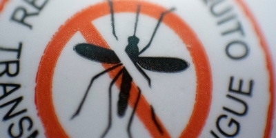 El Ministerio de Salud Pblica lanza la app: Mosquito Alert