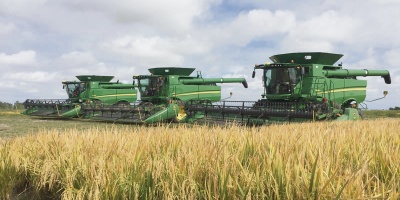 La Asociaci�n de Cultivadores de Arroz reclam� que se eleve el nivel de construcci�n de la caminer�a rural y mejore el mantenimiento 