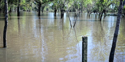 En Treinta y Tres, "lo que llueve en tres meses llovi� en tres d�as"