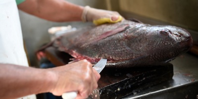 Cmaras pesqueras advierten sobre grave crisis en el sector 