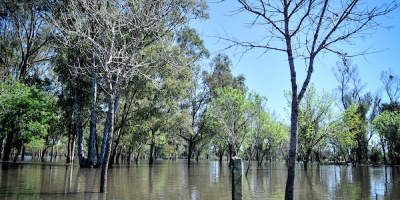 Embajada en Brasil recibe "sinn�mero" de llamados de uruguayos