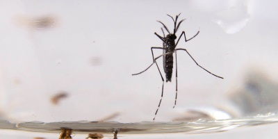 El Ministerio de Salud Pblica investiga la cuarta muerte por dengue y se superaron los mil casos