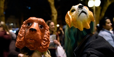 Plataforma Animalista consider� que �hace mucho tiempo� debi� abandonarse la presencia en el INBA