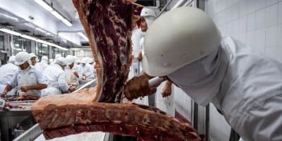 Gobierno deneg� a la multinacional Minerva la posibilidad de comprar plantas de los frigor�ficos de Marfrig en Uruguay