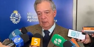 Fernando Mattos: "la negativa de Defensa de la Competencia al acuerdo Minerva Marfrig no generar� retracci�n de las inversiones"