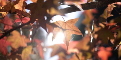 N�bel Cisneros: "Olas de fr�o polar ser�n muy frecuentes en este invierno"