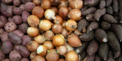 Aumenta precio de hortalizas 