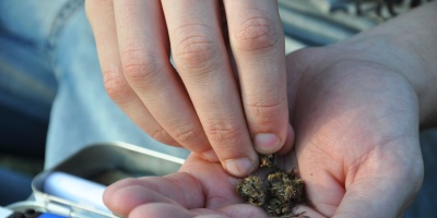 Detuvieron a distribuidor de drogas en Piri�polis