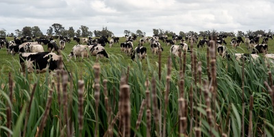 Uruguay aporta el 0,04% de emisiones de gases de efecto invernadero 