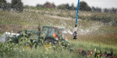 Se present� el Plan Nacional de Agricultura Familiar 2024-2028