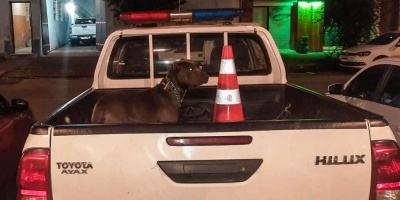Diez formalizados por golpizas en Rivera; el l�der de la banda que utilizaba a su perro para atacar es un militar 