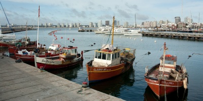 La DINARA prohibi� la extracci�n, comercializaci�n y transporte de mejillones, almejas, y berberechos procedentes de Maldonado y Rocha