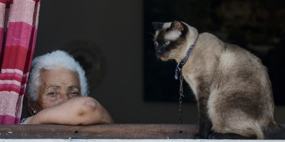 Investigan casos sospechosos de rabia en Bella Uni�n y Salto