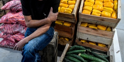 El fr�o provoca aumento se precio de las hortalizas